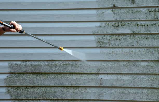 Best House Exterior Washing  in Pierceton, IN